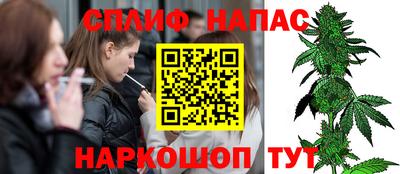 бошки Дубна