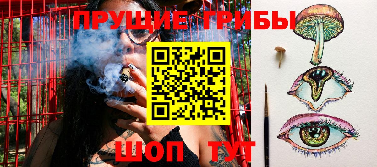 Галлюциногенные грибы MAGIC MUSHROOMS  Вход с VPN  Губкинский  Галлюциногенные грибы мицелий 